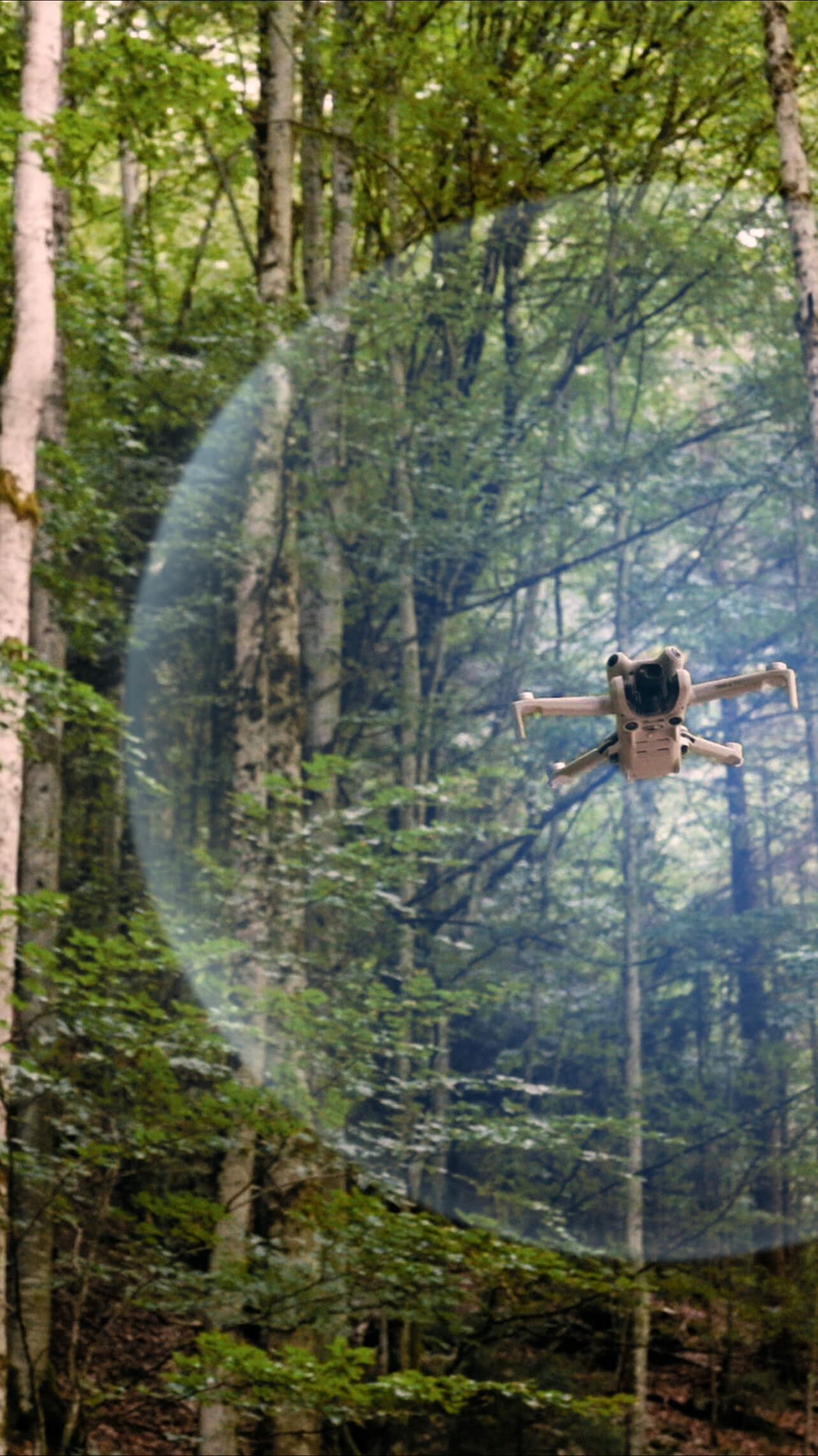 DJI Mini 4 Pro omnidirektionale Hinderniserkennung im Wald