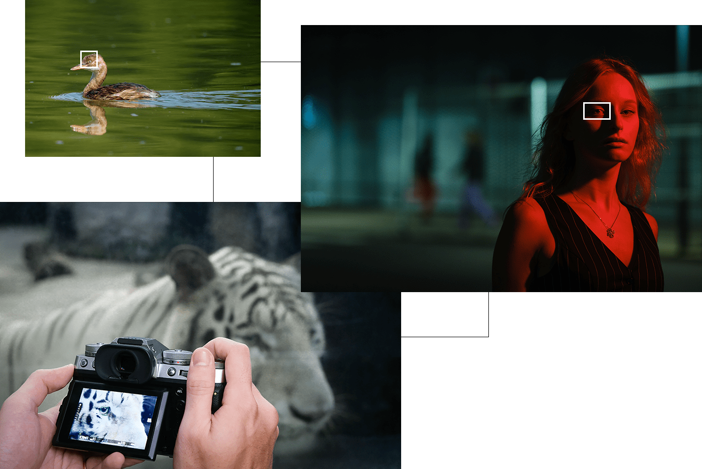 Fujifilm X-T5 Autofokus-System Demonstration