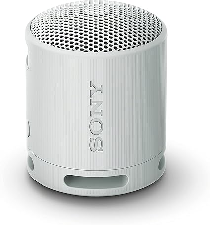 Sony SRS-XB100