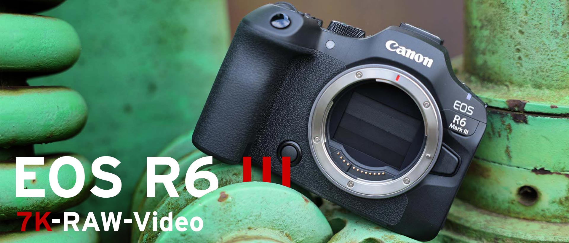 Canon EOS R6 Mark III Autofokus